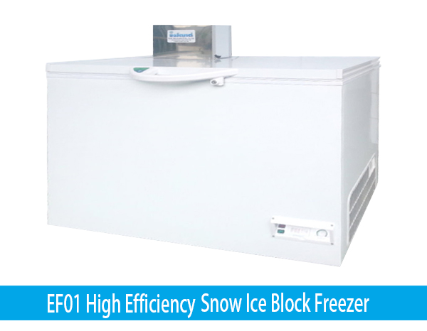 GE-EH01 freezer-oem-Ice lsland Co.,LTD.”